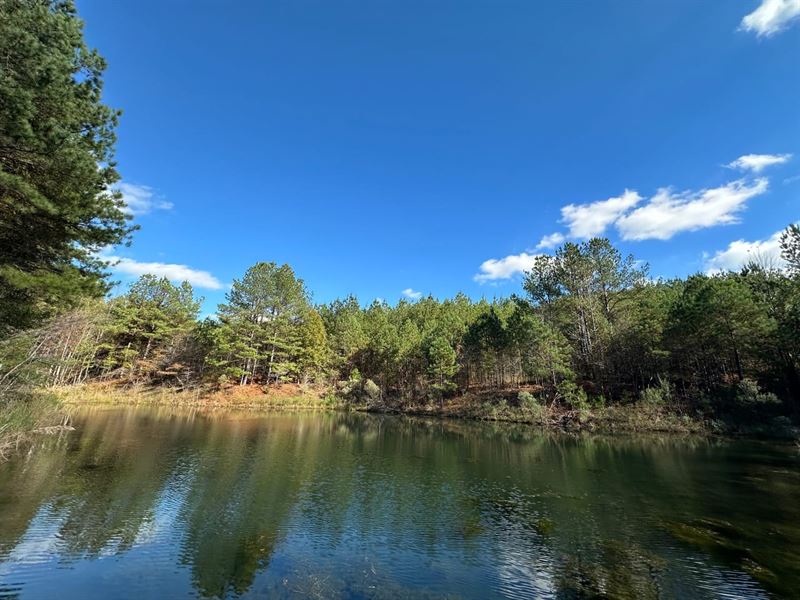 Poplar Springs Timber and Recreatio : Nauvoo : Winston County : Alabama