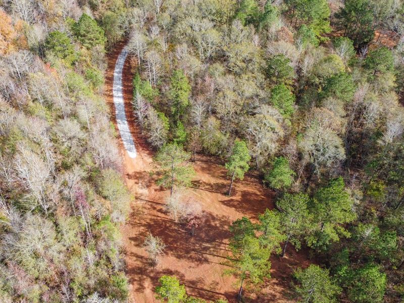 Glenvale Farms, 31.92 Acres : Cusseta : Chambers County : Alabama