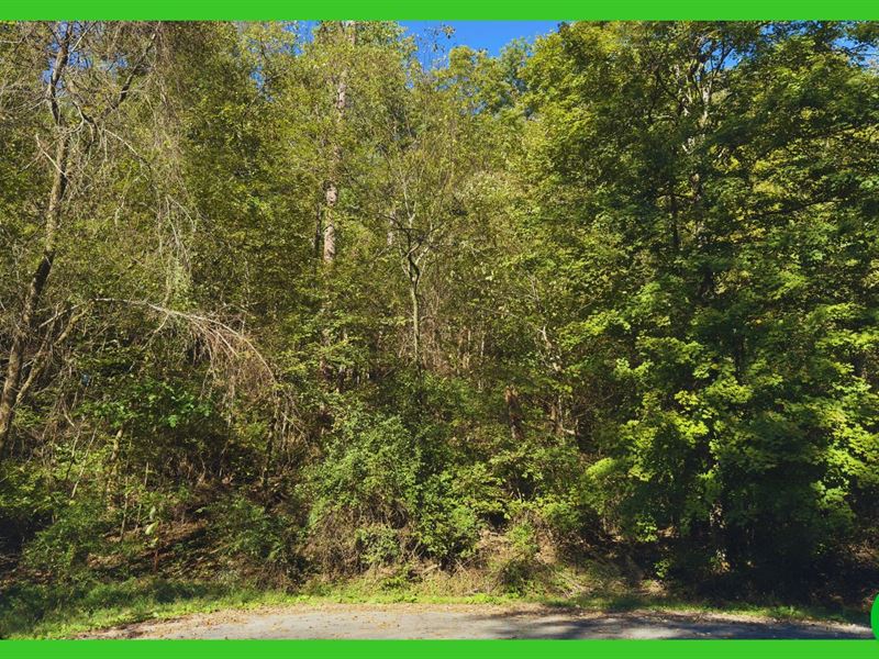 .43 Acre Near Cherokee Lake : Talbott : Jefferson County : Tennessee