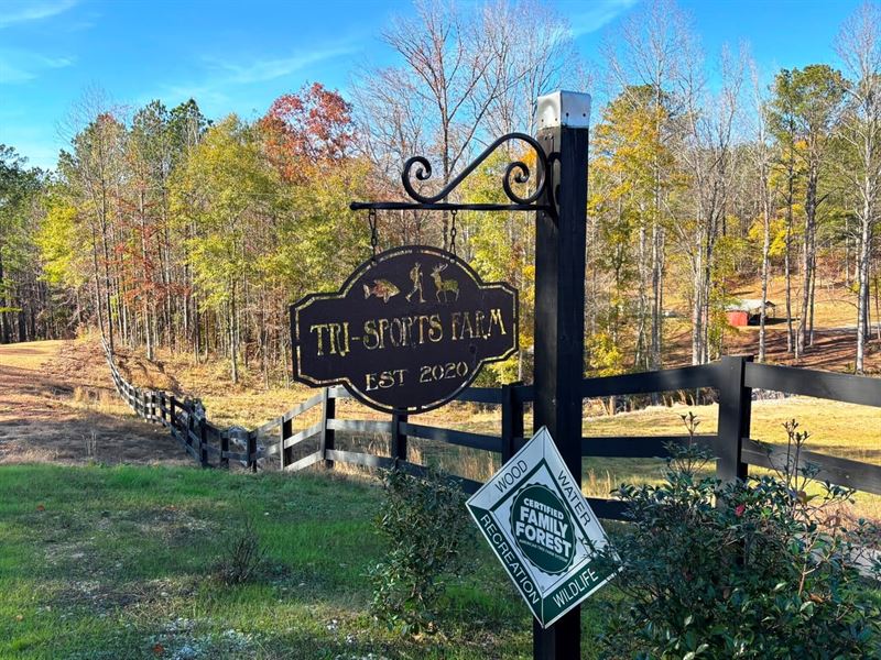 Sorghum Hollow Farm : Guin : Lamar County : Alabama