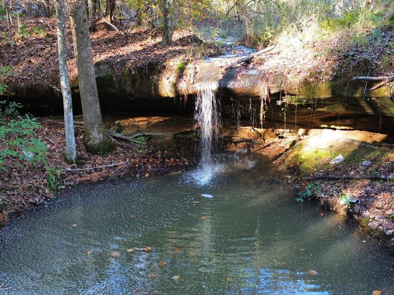 Rock Creek 37 : Double Springs : Winston County : Alabama