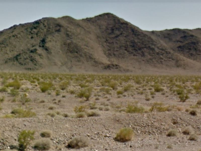 2.35 Acres, Your Perfect Oasis : Yucca : Mohave County : Arizona