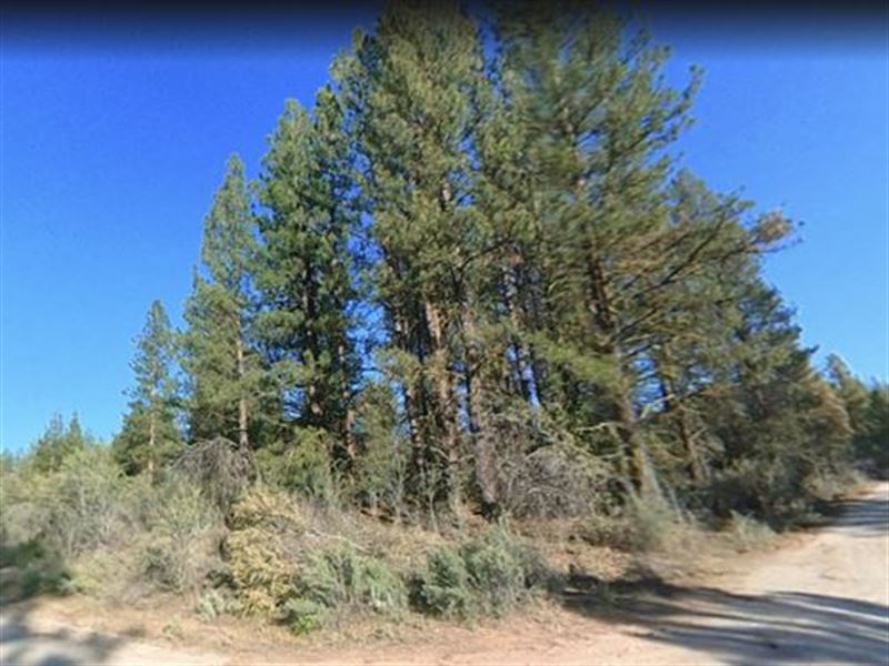 Scenic Land in Klamath County : Beatty : Klamath County : Oregon