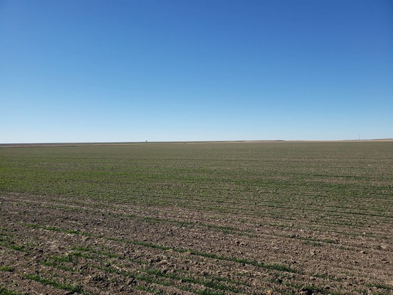 Big Springs Dryland Farms : Big Springs : Deuel County : Nebraska