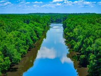 Parsley Tract : Currie : Pender County : North Carolina