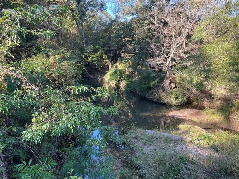 Amite River Hunting Tract for Sale : Smithdale : Amite County : Mississippi