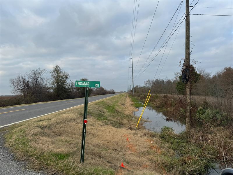 La, Richland 80 Acres : Holly Ridge : Richland Parish : Louisiana