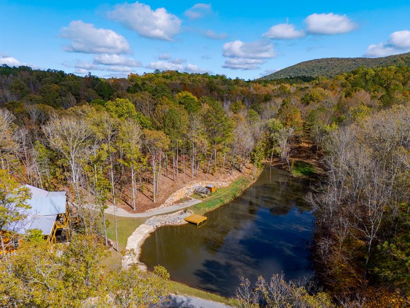 Blue Mountain Preserve : Chandler Springs : Talladega County : Alabama