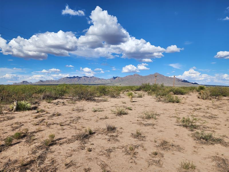 Dream Spot, 2.50 Acres, Buy Now : Deming : Luna County : New Mexico