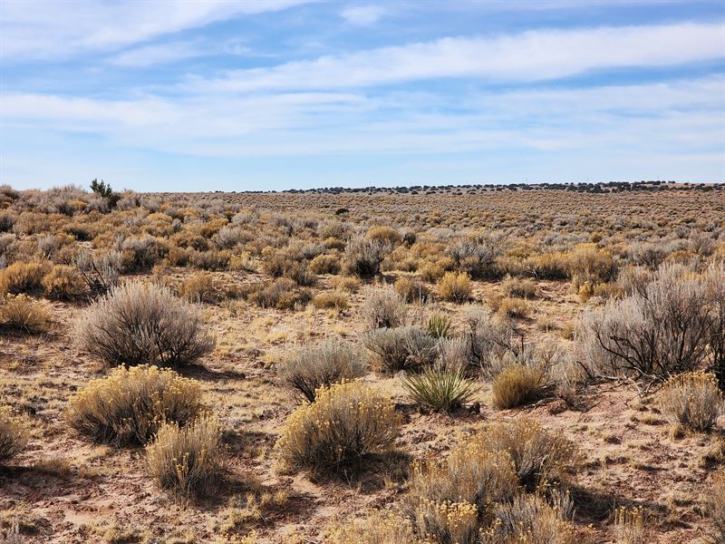 1 Acre Vacant Lot Near 1-44 : Chambers : Apache County : Arizona