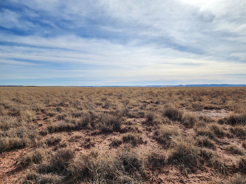 1.09 Acre Petrified Forest Estates : Holbrook : Apache County : Arizona