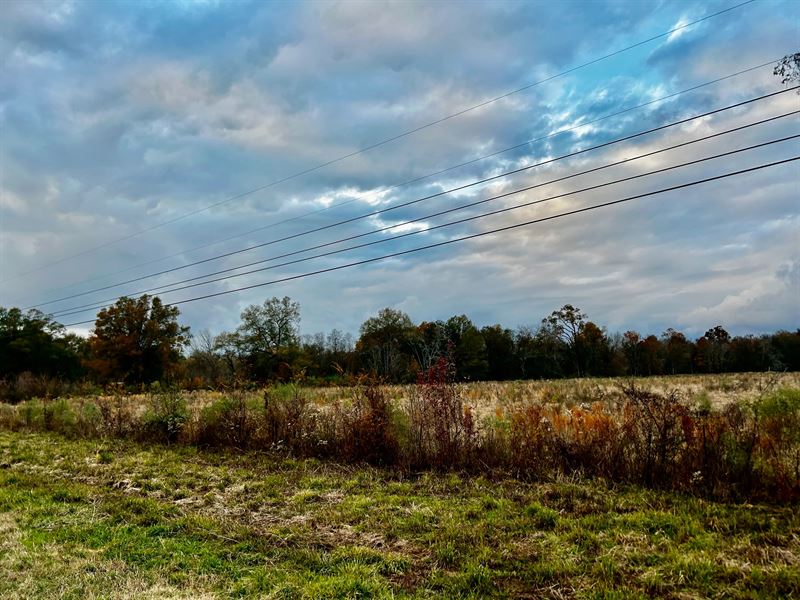 La, Richland 35.53 Acres : Rayville : Richland Parish : Louisiana