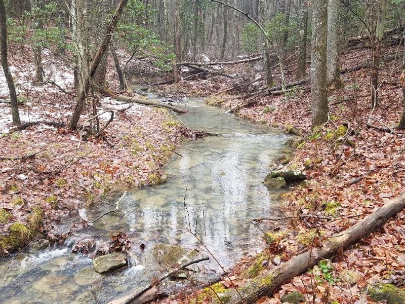 Mountain Creek, Meadow, Woods : Dunlap : Sequatchie County : Tennessee