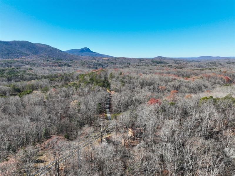 27.56 Acres of Multi-Use Land : Danbury : Stokes County : North Carolina