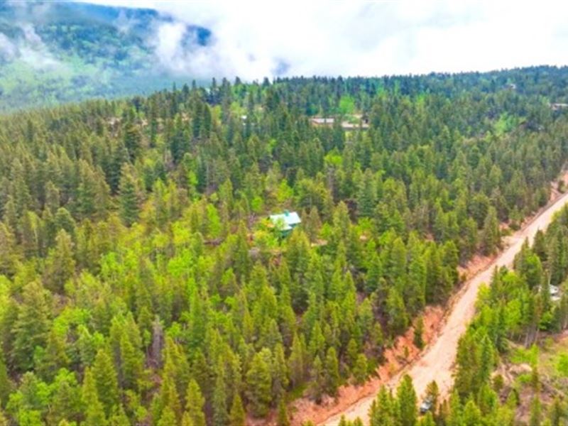 Wooded Mountain Getaway & Cabin Lot : Idaho Springs : Clear Creek County : Colorado