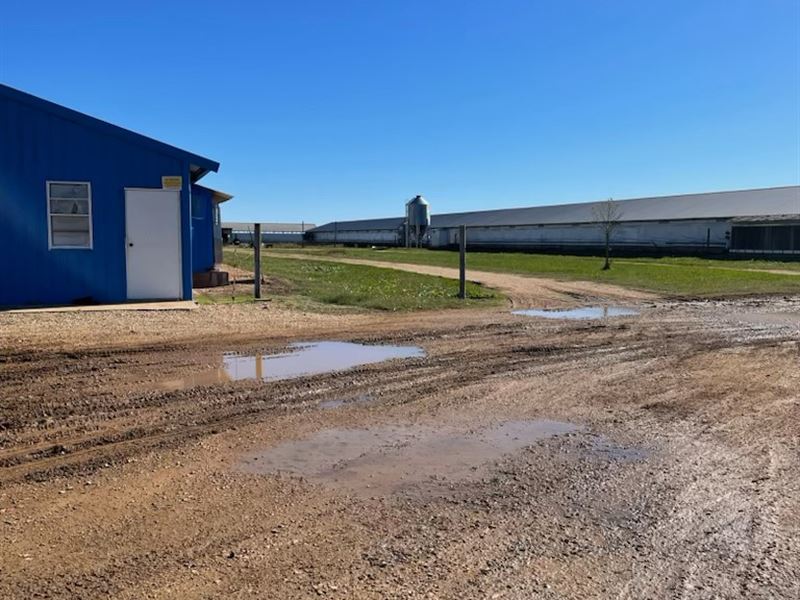 Arkansas Poultry Farm for Sale : Bradley : Lafayette County : Arkansas