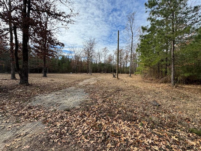 10 ML Acres, Build Ready Near Whit : Pine Bluff : Jefferson County : Arkansas