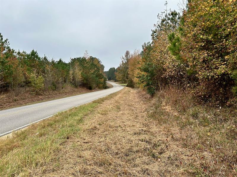 91 Acres Vernon Alabama : Vernon : Lamar County : Alabama