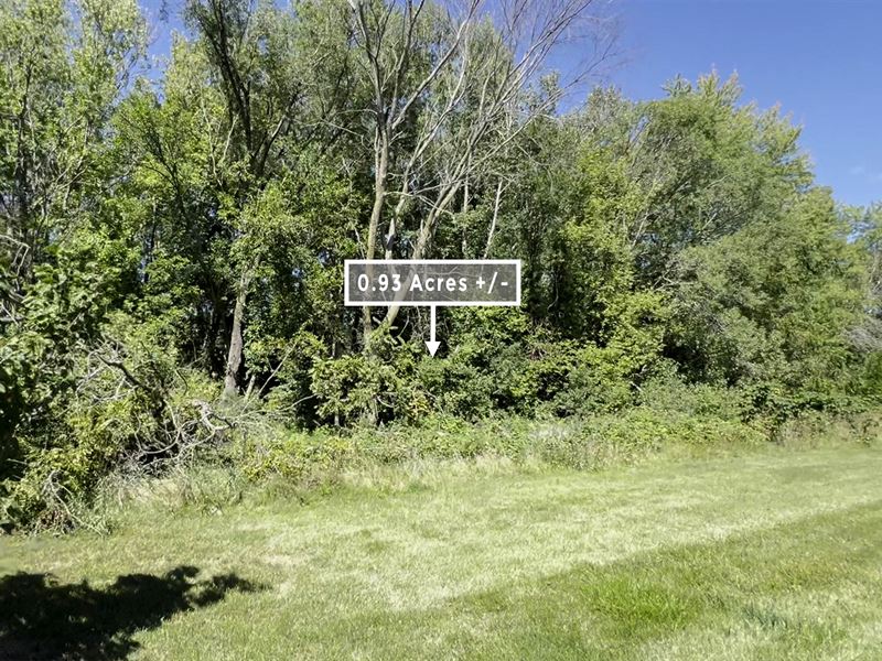 .93 Acre Only 10 Mins to State Park : Warren : Jo Daviess County : Illinois