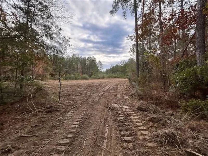 2.75 Acres in Amite County MS : Smithdale : Amite County : Mississippi