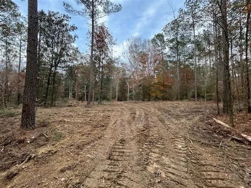 3 Acres in Amite County Mississippi : Smithdale : Amite County : Mississippi