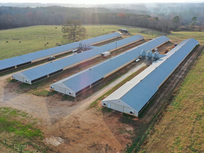 Double R Broiler Farm : Ranburne : Cleburne County : Alabama