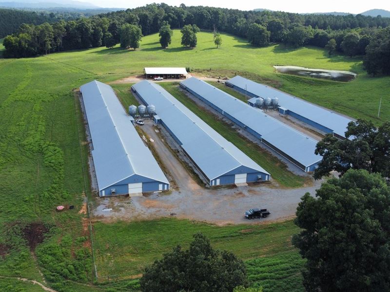 Hughes Poultry Farm : Gaylesville : Cherokee County : Alabama