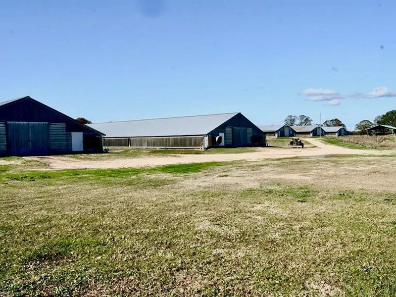 MS Poultry Farm with 38 Acres : Tylertown : Walthall County : Mississippi