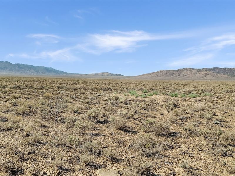 Your Land, Your Vision : Montello : Elko County : Nevada