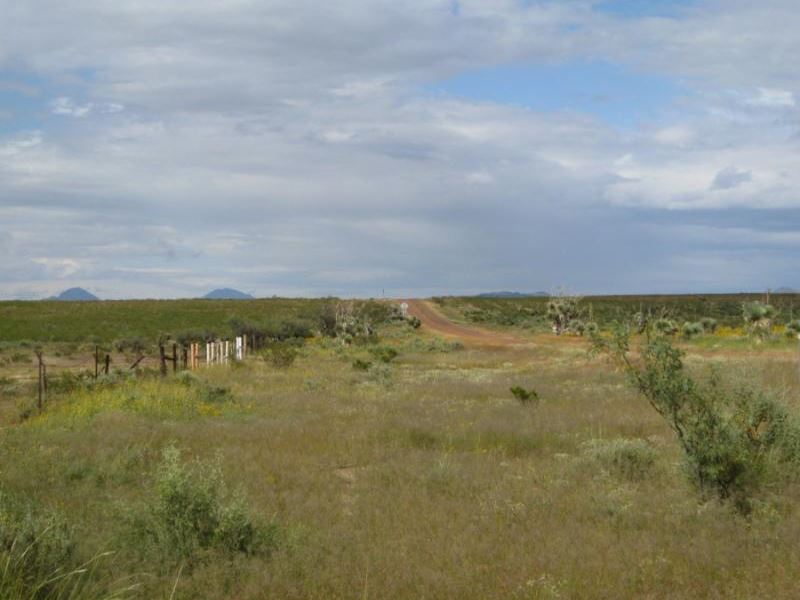 Panoramic West Texas Oasis LA : Cornudas : Hudspeth County : Texas