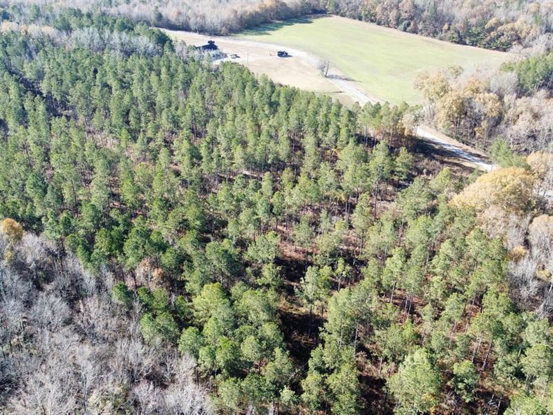 Hatton Homesite Tract 3C : Hatton : Lawrence County : Alabama