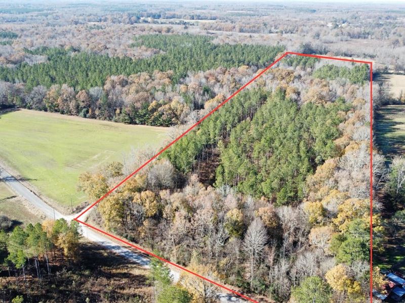 Hatton Homesite Tract 3B : Hatton : Lawrence County : Alabama