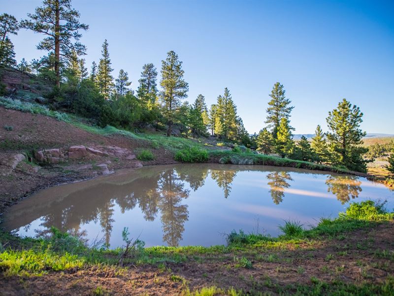 Logging Springs Ranch : Maybell : Moffat County : Colorado