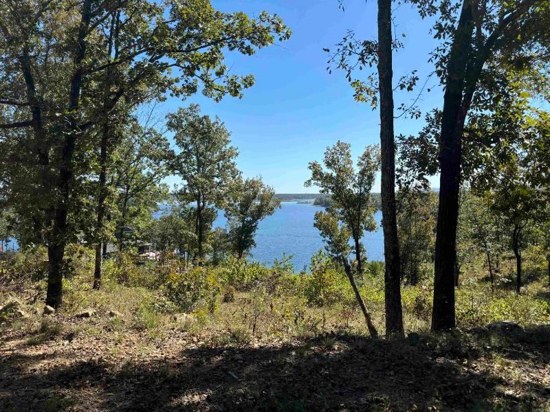 Stunning Lakeview Oasis Awaits : Fairfield Bay : Van Buren County : Arkansas