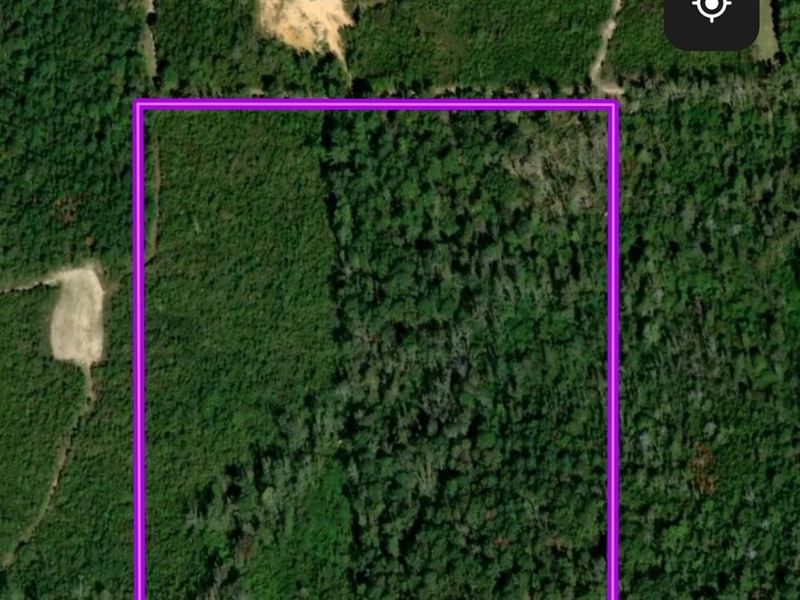 32 Acres with a Home : Wesson : Copiah County : Mississippi