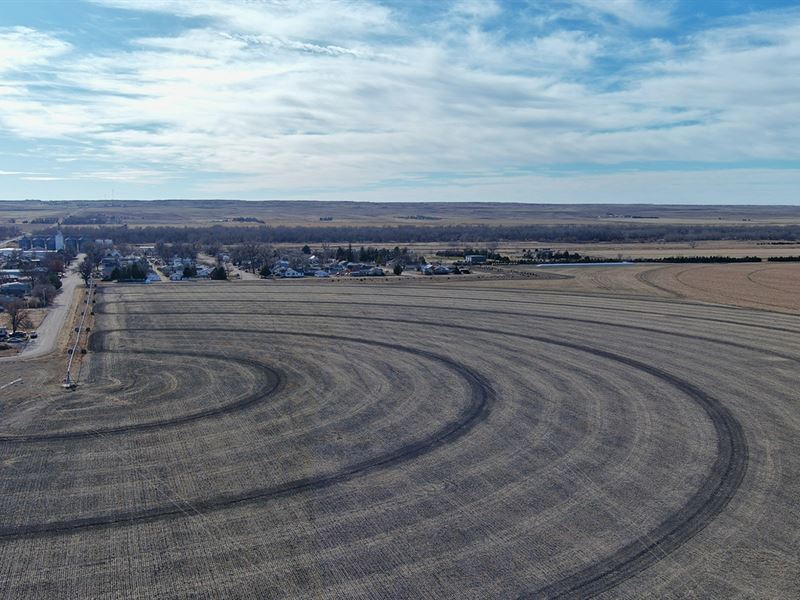 Ovid Pivot Irrigated Farm : Ovid : Sedgwick County : Colorado