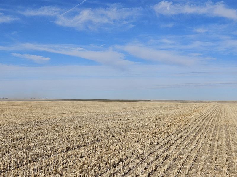 Maas Dryland, 244 Acres : Potter : Cheyenne County : Nebraska