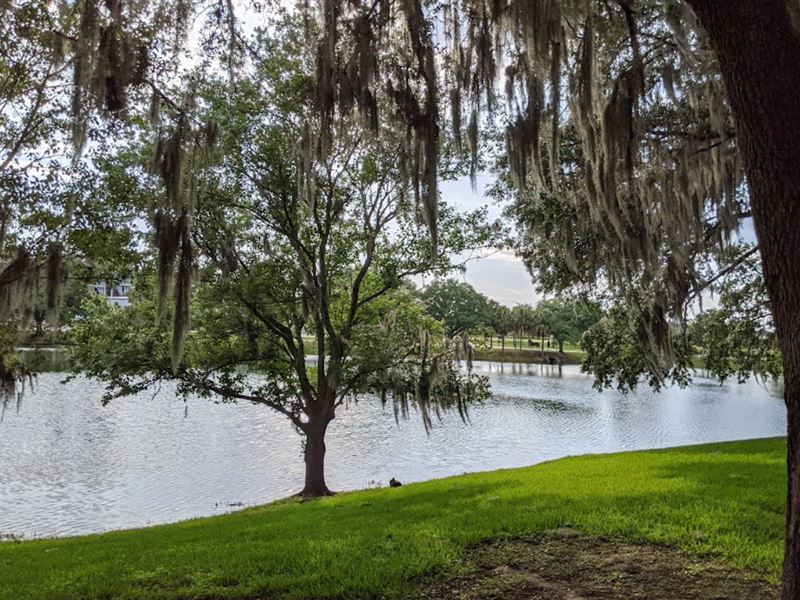 2 for 1 Lots Putnam County, $199/Mo : Interlachen : Putnam County : Florida