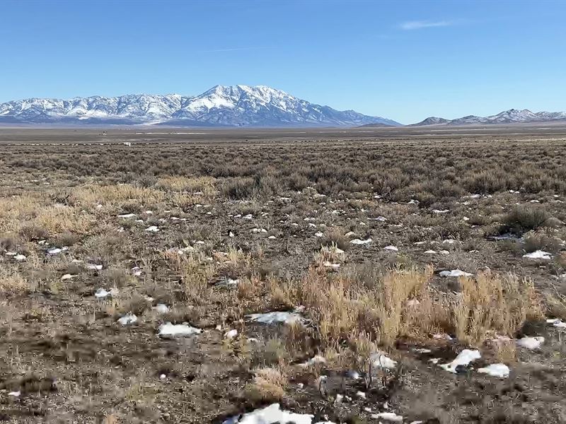 Elko County, NV is Calling : Montello : Elko County : Nevada