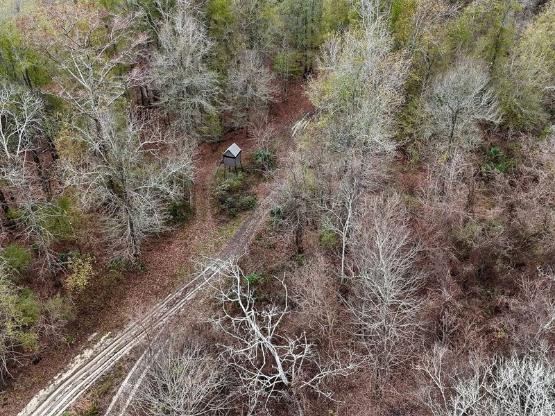 Tensas River Hunting Property : Harrisonburg : Catahoula Parish : Louisiana