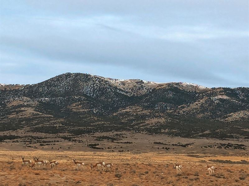 Your Mountain Haven Awaits : Wells : Elko County : Nevada