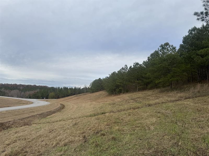 12 Acres Tallapoosa Co. AL : Camp Hill : Tallapoosa County : Alabama