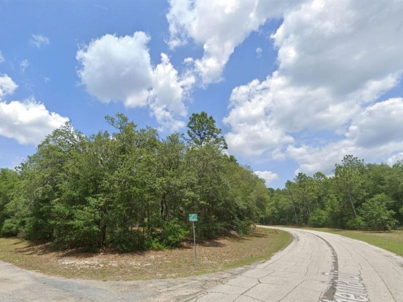 Check Out This Oversized Lot in FL : Citrus Springs : Citrus County : Florida