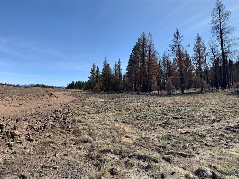 3.16 Ac Investment Opportunity : Chiloquin : Klamath County : Oregon