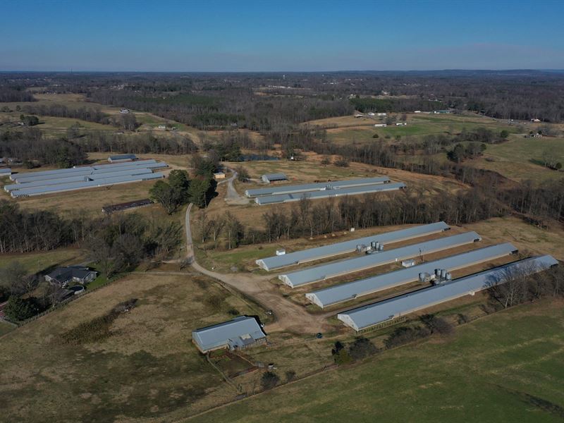 Jackson Broiler Farm : Sylvania : Dekalb County : Alabama