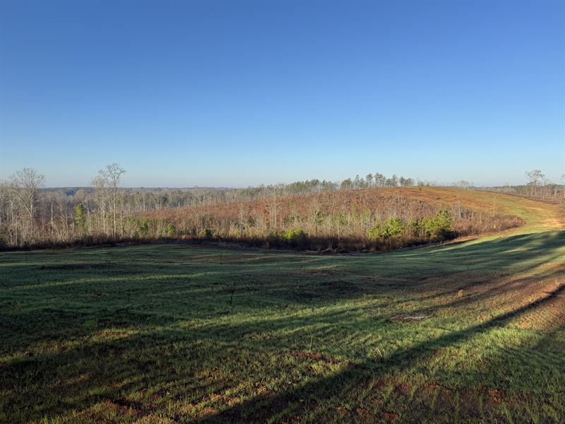 77 Acres, Chambers County : Five Points : Chambers County : Alabama