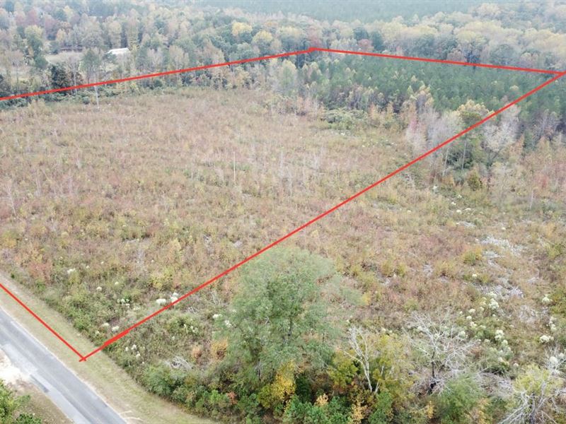 Hamilton Homesite Tract 1B : Hamilton : Marion County : Alabama