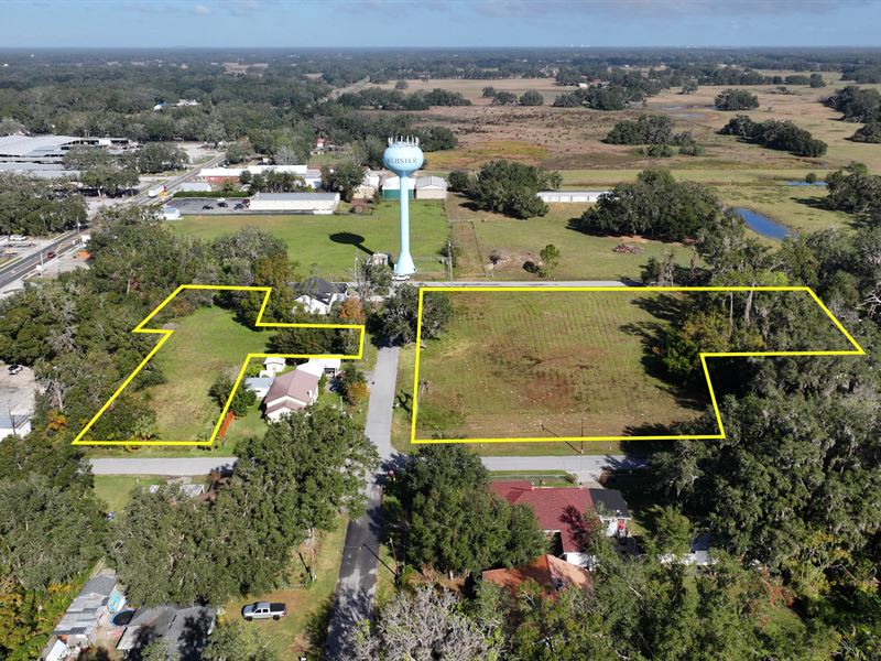 Webster Residential Dev Land : Webster : Sumter County : Florida