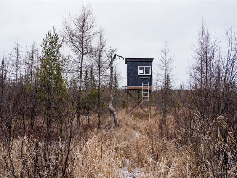 Price County Hunting Camp : Prentice : Price County : Wisconsin