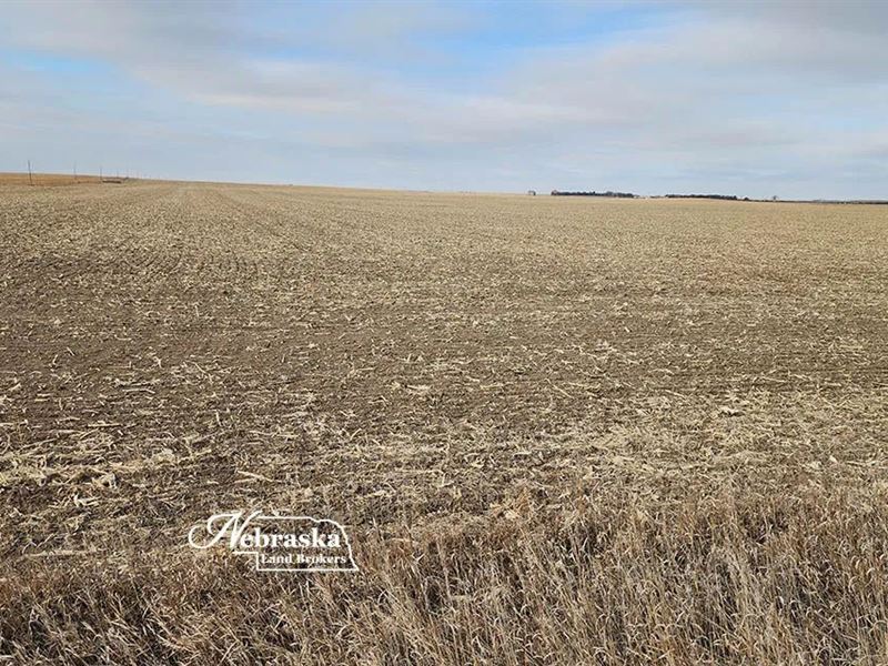 Southern Keith County Non-Irrigated : Ogallala : Keith County : Nebraska